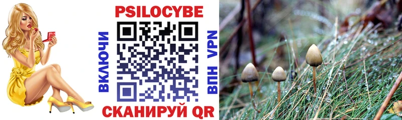 Купить закладки  Стерлитамак  Галлюциногенные грибы прущие грибы 